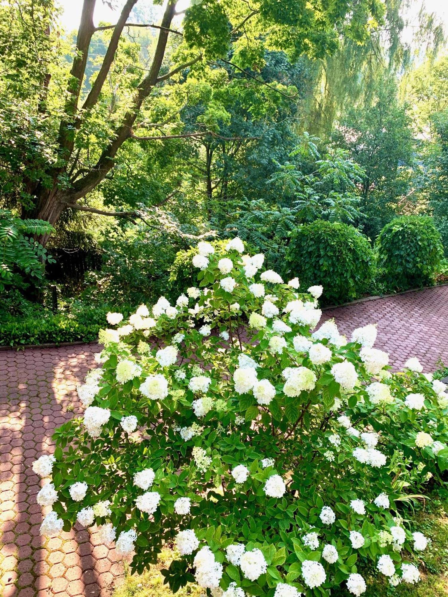 Plantation House Bed & Breakfast 포트 호프 외부 사진
