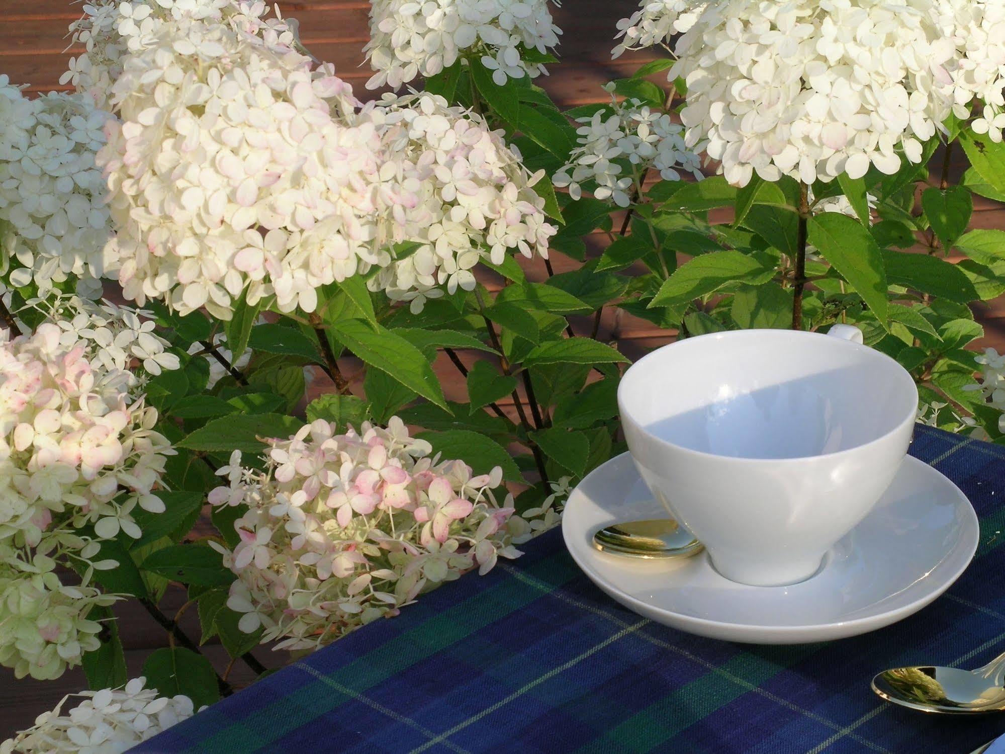 Plantation House Bed & Breakfast 포트 호프 외부 사진
